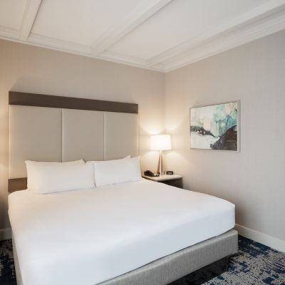 Junior King Suite with Sofa Bed Crowne Plaza Albany - the Desmond Hotel Promo Code