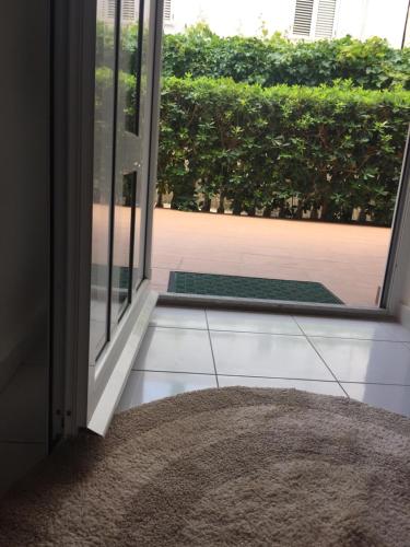 一卧室公寓 - 带露台