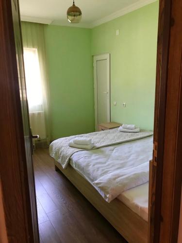 山景豪华双人或双床房