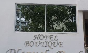 Hotel Boutique Plazuela Real