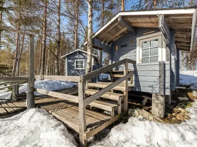 Virsuniemi Hotels in 