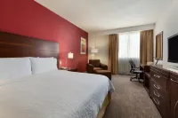 Hilton Garden Inn Queretaro Hotels in 