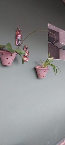 一卧室房屋