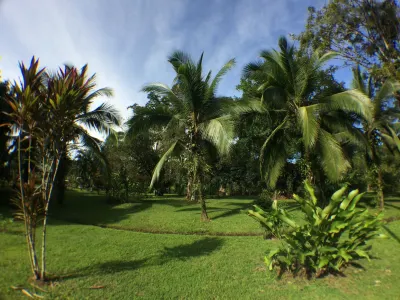 Caribbean Paradise Eco-Lodge Hotels in 