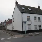 Frog Palace