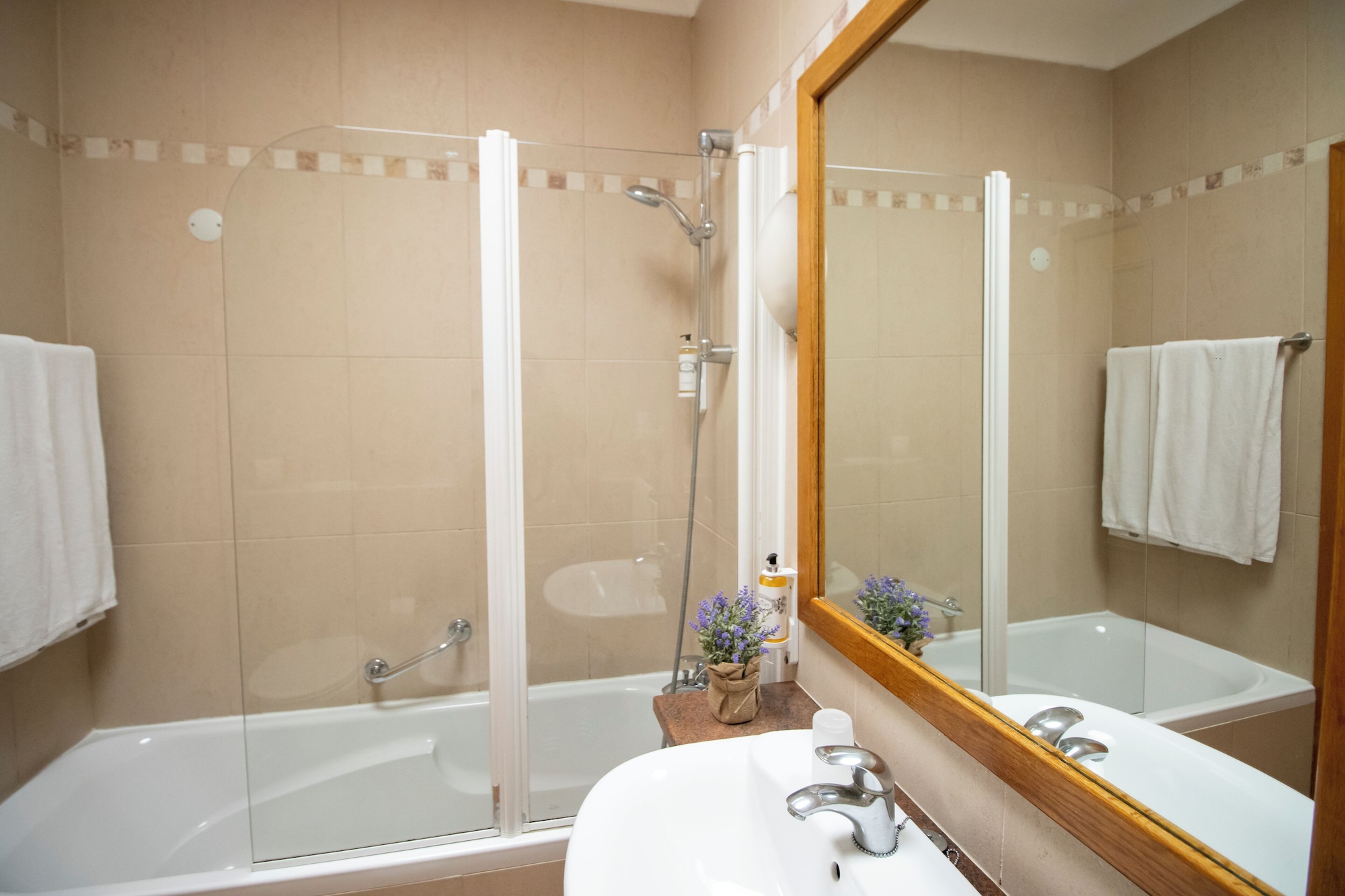 标准一卧室公寓