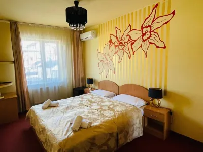 Pensiunea Ileana Hotel di 