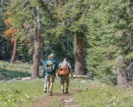 Comfort In The Sierras - Edelweiss 2br - Kirkwood 3 Bedroom Condo