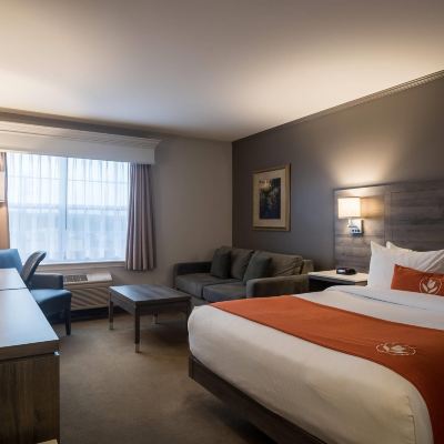Queen Room with Sofabed Amsterdam Inn & Suites Moncton Promo Code
