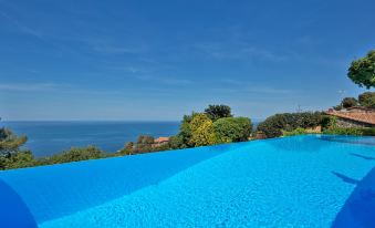 a large blue swimming pool surrounded by lush greenery and a beautiful view of the ocean at Boutique Hotel Torre di Cala Piccola