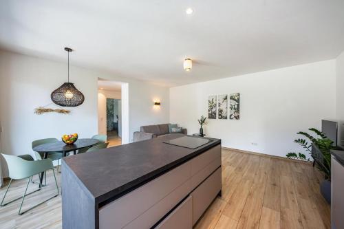 高级一卧室公寓