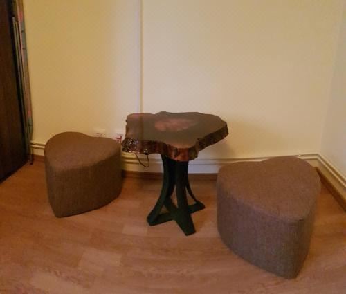 带园景一室公寓