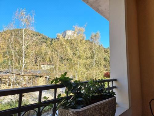 四人间 - 错层式