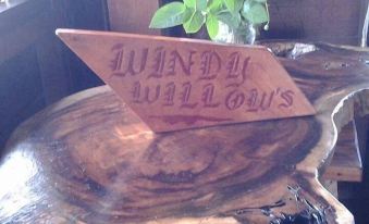 Windy Willow's