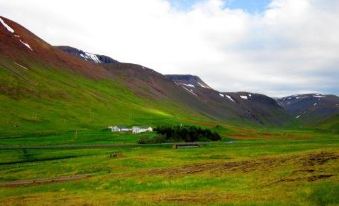 Guesthouse Kirkjubol in Bjarnardalur