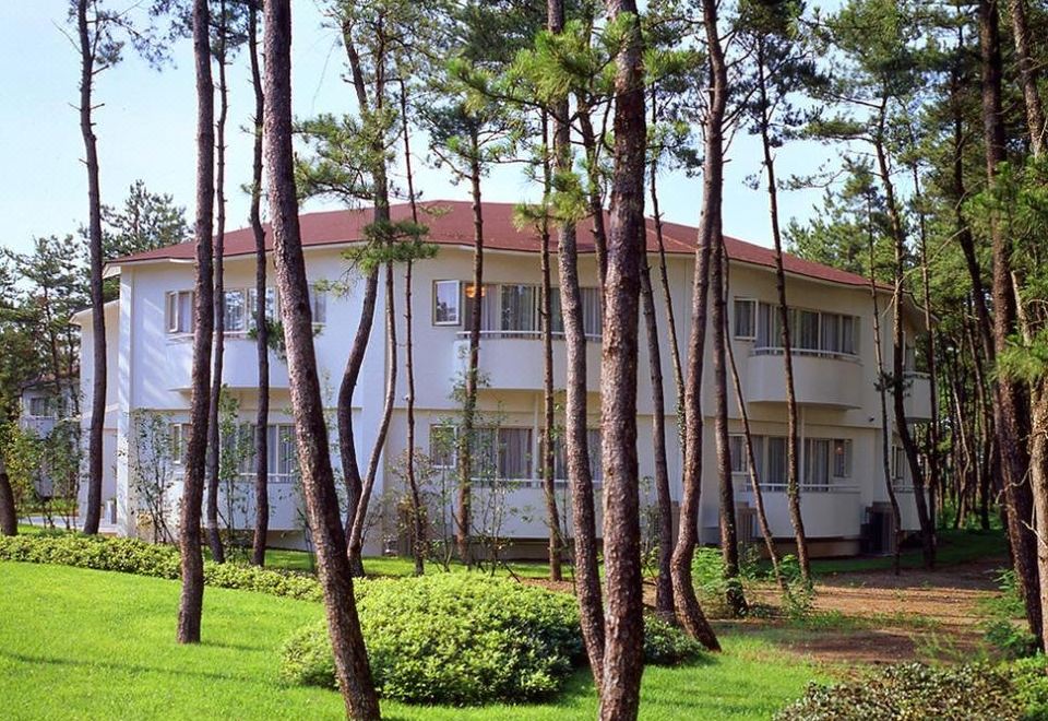 Seagaia Forest Cottage 대표 이미지