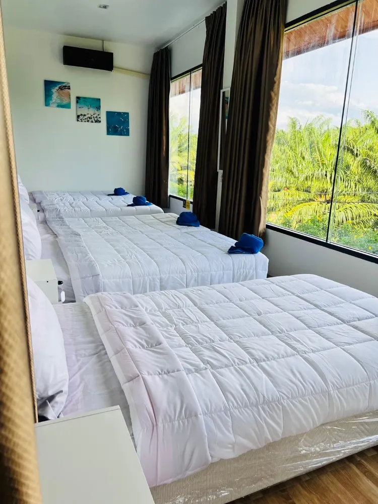 6-Bed Dormitory Room With Shared Bathroom