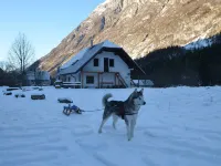 Soča Home with the View 보베츠 호텔