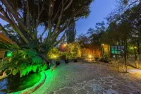 Hotel Victoria Oaxaca Hotels in 