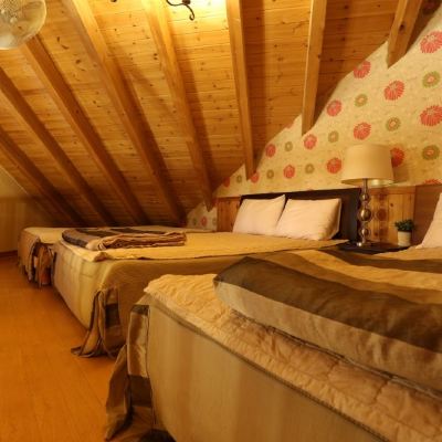 룸 C2 캐빈타운 쿠폰