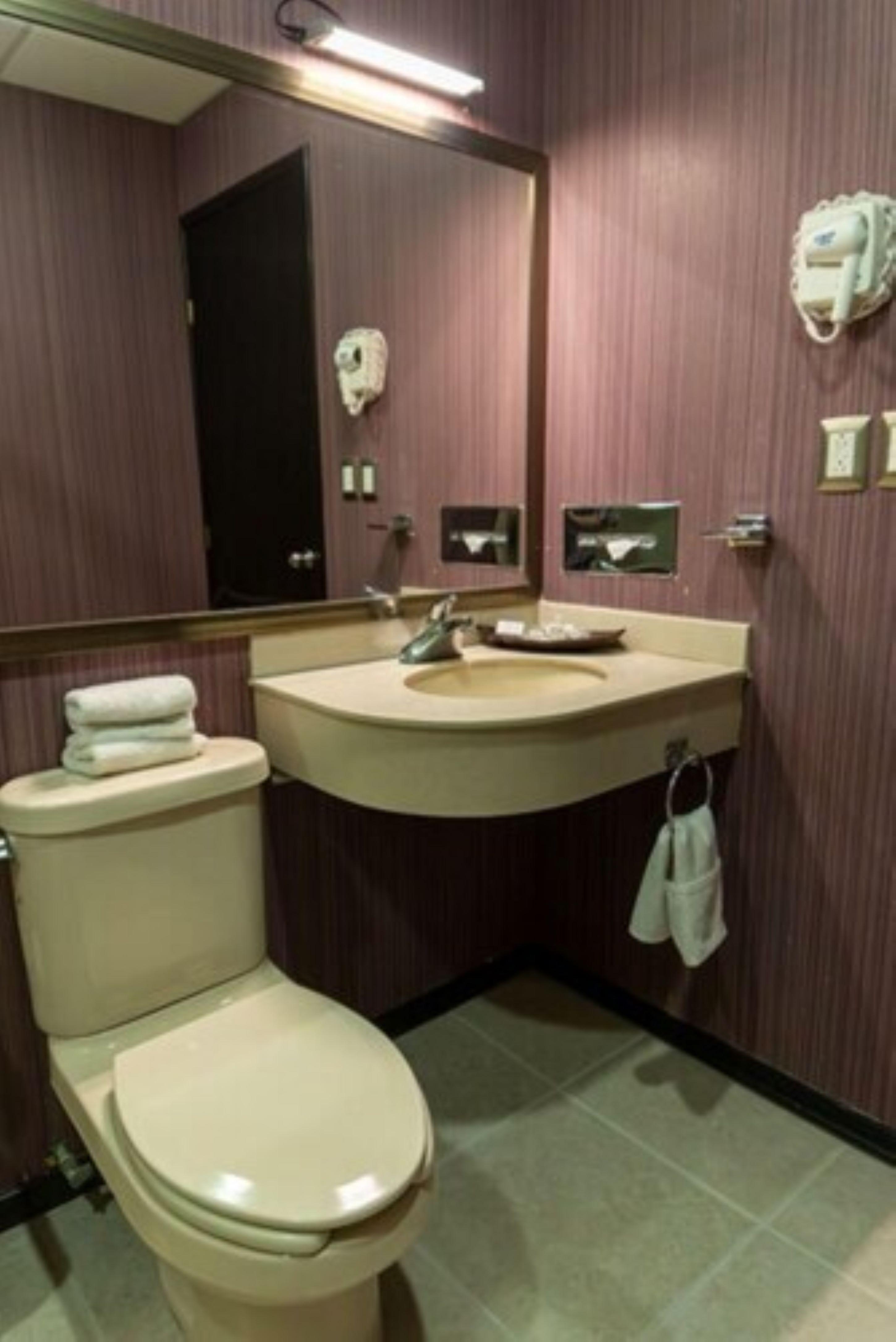 标准2张双人床房