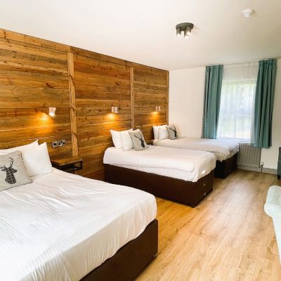 Family Room Lusty BEG Island Promo Code