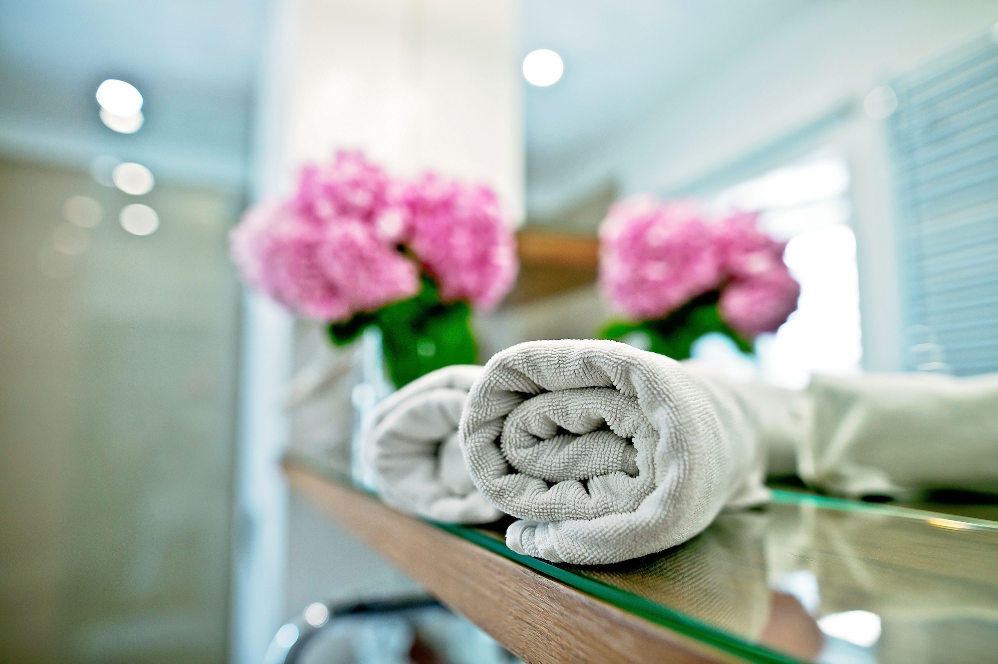 豪华双人或双床房