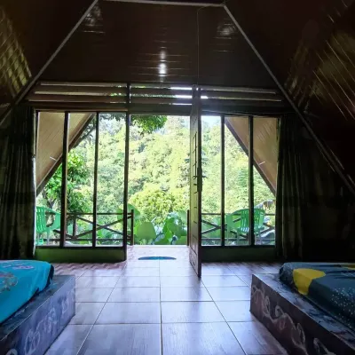 Green Forest Tangkahan Hotels in 
