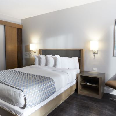 標準大床房-底樓 科夫特爾酒店優惠