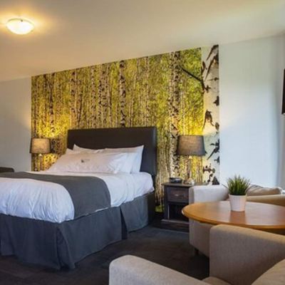 Regular Room, 1 Queen Bed, River Side L'Auberge du Lac St-Pierre Promo Code