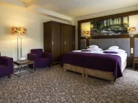 Hotel Mercure Krynica Zdrój Resort&Spa