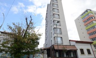 Mosilor Apartments