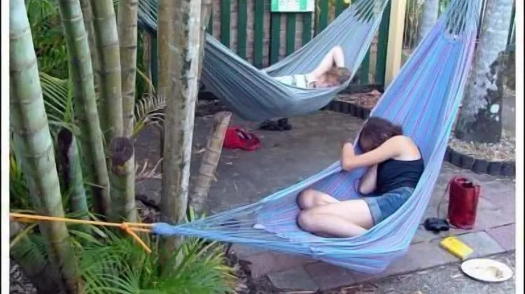 Cairns City Backpackers Hostel 食事・レストラン