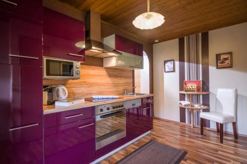 豪华一卧室公寓