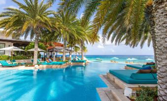 a resort with a large pool surrounded by palm trees and lounge chairs , overlooking the ocean at Zemi Beach House, LXR Hotels & Resorts