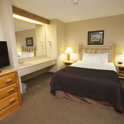 Majestic Bear-Water Park Included Great Wolf Lodge Traverse City Promo Code