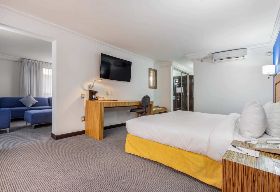 开间套房， 1 张特大床， 无烟房， 花园