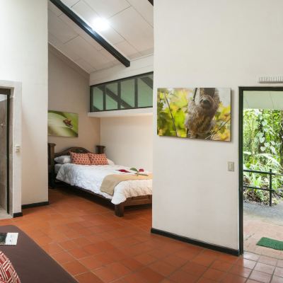 Superior Room Tapirus Lodge Promo Code