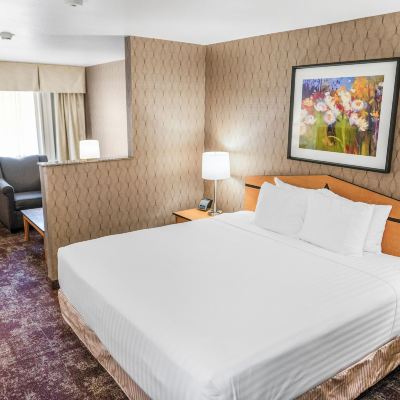 Standard King Room Non smoking Crystal Inn Hotel & Suites West Valley City West Valley City Promo Code