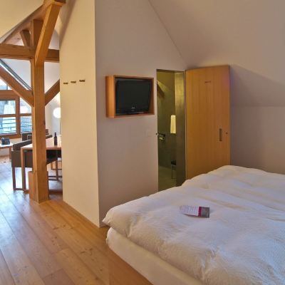 Suite, 1 Double Bed (Mini Suite) Kartause Ittingen Promo Code