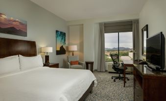 a hotel room with a king - sized bed , a desk , a chair , and a window overlooking the mountains at Hilton Garden Inn Phoenix Airport North