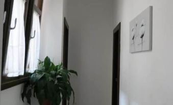 Dante Rooms and Apartment - Housity