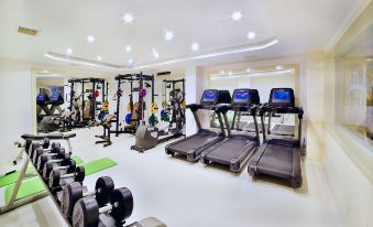 a well - equipped gym with various exercise equipment , such as treadmills , weight machines , and benches for cardio workouts at New Marathon Hotel