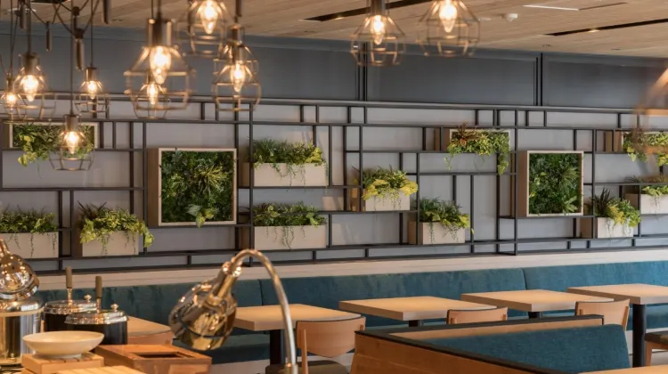 ソレスト高千穂ホテル 食事・レストラン