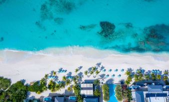 a bird 's eye view of a beach with clear blue water and white sand , surrounded by tropical trees at Zemi Beach House, LXR Hotels & Resorts