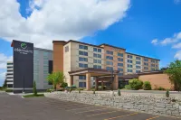 Four Points by Sheraton Toronto Airport Hotels in 