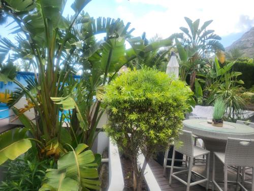 豪华双人一室房