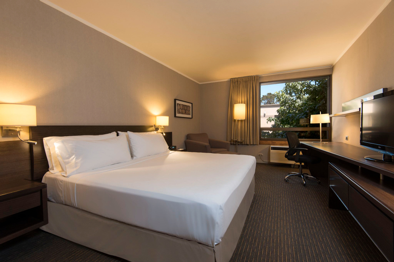 Holiday Inn Express TEMUCO by IHGStandard room