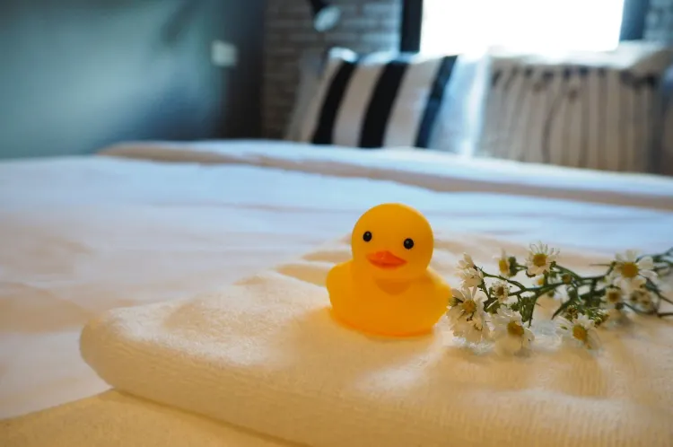 สตูดิโอพื้นฐาน