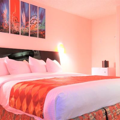 Premium Comfort King Room Crystal Star Inn Edmonton Airport Promo Code